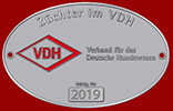 VDH_siegel